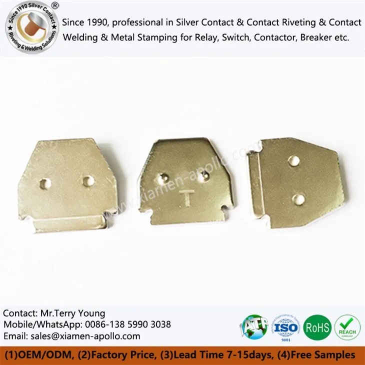 Hreinir járnstimpilhlutir fyrir EV Relay